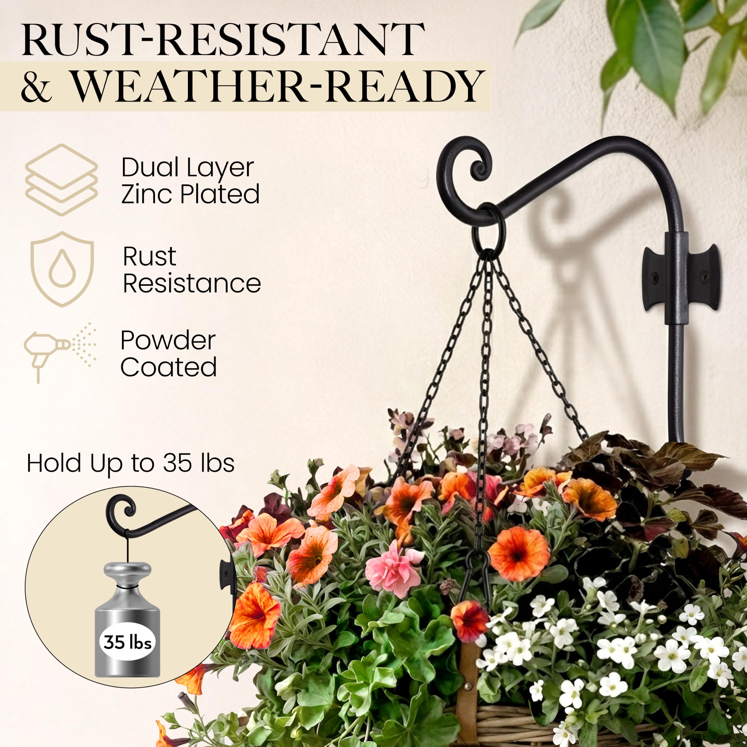 Black Curved Hooks 8" Wrought Iron Wall Mounted Plant Hanger 2 Pack - Image 4