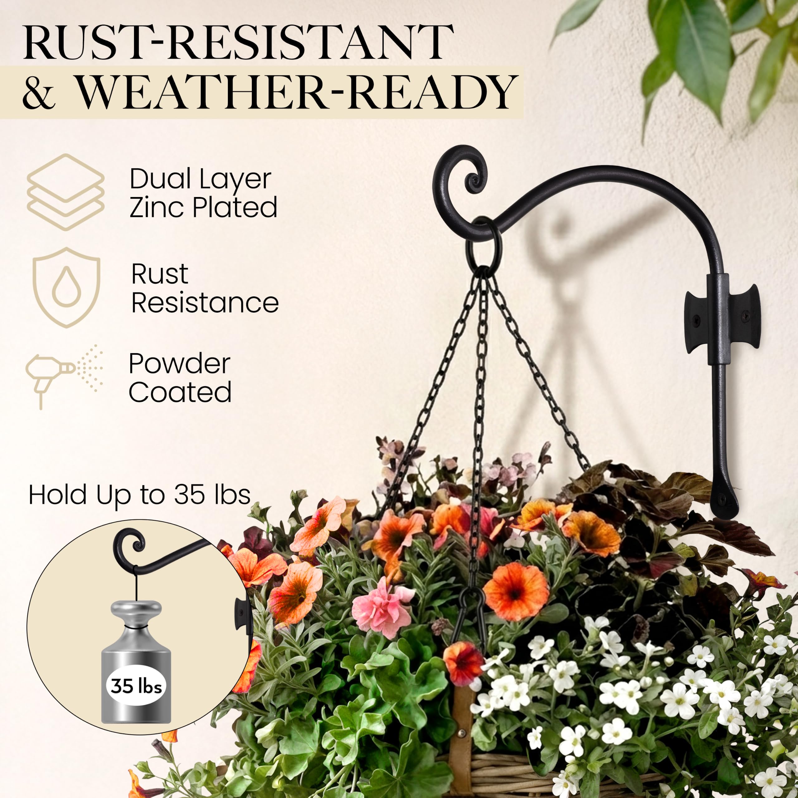 Black Curved Hooks 10" Wrought Iron Wall Mounted Plant Hanger 2 Pack - Image 4